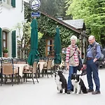 Bischofsmühle 3*